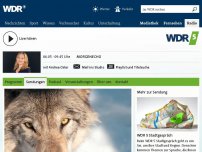 Bild zum Artikel: Der Wolf in NRW: Schießen oder schützen?