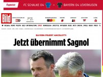Bild zum Artikel: Nach Paris-Pleite - Bayern feuert Ancelotti