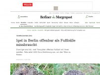 Bild zum Artikel: Tiermisshandlung: Igel in Berlin offenbar als Fußbälle missbraucht