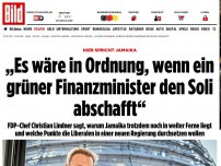 Bild zum Artikel: Christian Lindner (FDP) - »Wenn ein grüner Finanz- Minister den Soli abschafft