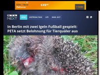 Bild zum Artikel: In Berlin mit zwei Igeln Fußball gespielt: PETA setzt Belohnung für Tierquäler aus