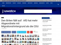 Bild zum Artikel: Den Briten fällt auf:  AfD hat mehr Abgeordnete mit Migrationshintergrund als die CDU