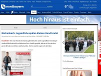 Bild zum Artikel: Büchenbach: Jugendliche quälen kleinen Hund brutal