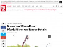 Bild zum Artikel: Pferde-Drama: Augustiner-Ross stirbt mitten in der Stadt