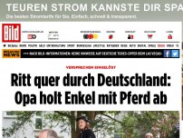 Bild zum Artikel: Versprechen eingelöst - Ritt quer durch Deutschland: Opa holt Enkel mit Pferd ab