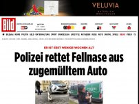 Bild zum Artikel: Berlins süßester Polizist - Fellnase aus Müll-Auto gerettet