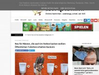 Bild zum Artikel: Neu in öffentlichen Toiletten: Kackoirs für Männer, die großes Geschäft im Stehen erledigen wollen