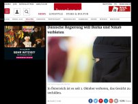 Bild zum Artikel: Dänische Regierung will Burka und Nikab verbieten