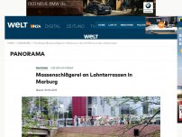 Bild zum Artikel: Vor der Uni-Mensa: Massenschlägerei an Lahnterrassen in Marburg