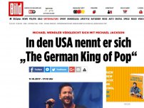Bild zum Artikel: Konzert in Florida - Wendler hält sich für den „German King of Pop“