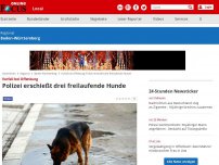 Bild zum Artikel: Vorfall bei Offenburg - Polizei erschießt drei freilaufende Hunde