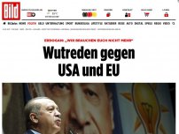 Bild zum Artikel: Wutreden - Erdogan legt sich mit der halben Welt an