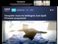 Bild zum Artikel: Tierquäler muss ins Gefängnis: Zum Spaß 79 Ferkel zerquetscht