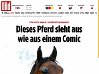Bild zum Artikel: Tierärzte besorgt - Dieses Pferd sieht aus wie aus einem Comic