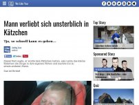 Bild zum Artikel: Mann verliebt sich unsterblich in Kätzchen