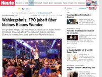 Bild zum Artikel: Nationalratswahl 2017: Wahlergebnis: FPÖ jubelt über kleines Blaues Wunder