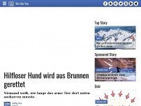Bild zum Artikel: Hilfloser Hund wird aus Brunnen gerettet