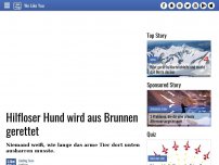 Bild zum Artikel: Hilfloser Hund wird aus Brunnen gerettet