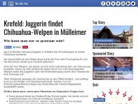 Bild zum Artikel: Krefeld: Joggerin findet Chihuahua-Welpen in Mülleimer