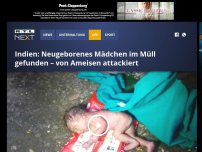 Bild zum Artikel: Indien: Neugeborenes Mädchen im Müll gefunden – von Ameisen attackiert