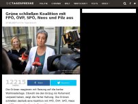 Bild zum Artikel: Grüne schließen Koalition mit FPÖ, ÖVP, SPÖ, Neos und Pilz aus