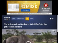 Bild zum Artikel: Verstümmeltes Nashorn: Wildlife-Foto des Jahres schockiert