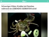 Bild zum Artikel: Schauriges Video: Krabbe isst Gemüse, während sie LEBENDIG GEBRATEN wird!