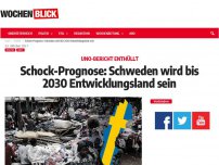 Bild zum Artikel: Schock-Prognose: Schweden wird bis 2030 Entwicklungsland sein