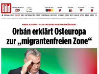 Bild zum Artikel: Irrer Auftritt - Orbán erklärt Osteuropa zur „migrantenfreien Zone“