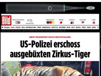 Bild zum Artikel: Beim Transport durch USA - US-Polizei erschoss ausgebüxten Tiger