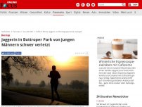 Bild zum Artikel: Bottrop - Joggerin in Bottroper Park von jungen Männern schwer verletzt