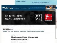 Bild zum Artikel: DFB-Pokal: Magdeburger Horror-Choreo wird international gefeiert
