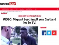 Bild zum Artikel: VIDEO: Migrant beschimpft sein Gastland live im TV!