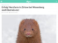 Bild zum Artikel: Erfolg! Nerzfarm in Zirtow bei Wesenberg stellt Betrieb ein!