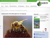 Bild zum Artikel: Insektensterben: Neue Bienengifte kurz vor Zulassung
