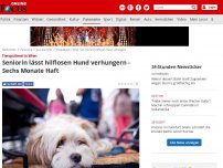 Bild zum Artikel: Tierquälerei in Wien - Seniorin lässt hilflosen Hund verhungern - Sechs Monate Haft