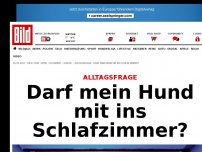 Bild zum Artikel: Alltagsfrage - Darf mein Hund mit ins Schlafzimmer?