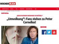 Bild zum Artikel: „Umvolkung“: Fans stehen zu Peter Cornelius!