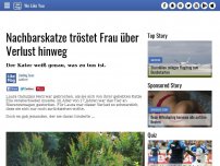 Bild zum Artikel: Nachbarskatze tröstet Frau über Verlust hinweg