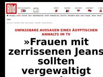 Bild zum Artikel: Eklat im ägyptischen TV - Anwalt ruft zu Vergewaltigungen auf