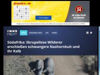 Bild zum Artikel: Südafrika: Skrupellose Wilderer erschießen schwangere Nashornkuh und ihr Kalb