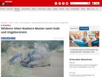 Bild zum Artikel: In Südafrika - Wilderer töten Nashorn-Mutter samt Kalb und Ungeborenem