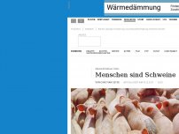 Bild zum Artikel: Bei der Jamaika-Sondierung muss die Massentierhaltung verboten werden