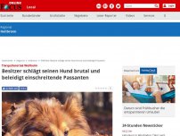 Bild zum Artikel: Tierquälerei bei Weilheim - Besitzer schlägt seinen Hund brutal und beleidigt einschreitende Passanten