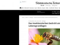 Bild zum Artikel: Das Insektensterben bedroht unsere Lebensgrundlagen