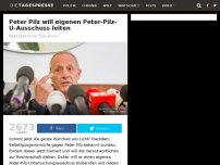 Bild zum Artikel: Peter Pilz will eigenen Peter-Pilz-U-Ausschuss leiten