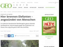 Bild zum Artikel: Hier brennen Elefanten – angezündet von Menschen