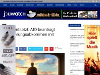 Bild zum Artikel: Grüne entsetzt: AfD beantragt Rückführungsabkommen mit Syrien