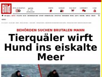 Bild zum Artikel: Brutal! - Tierquäler wirft Hund ins eiskalte Meer