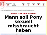 Bild zum Artikel: Sex-Angriff in Berlin - Mann missbraucht Pony